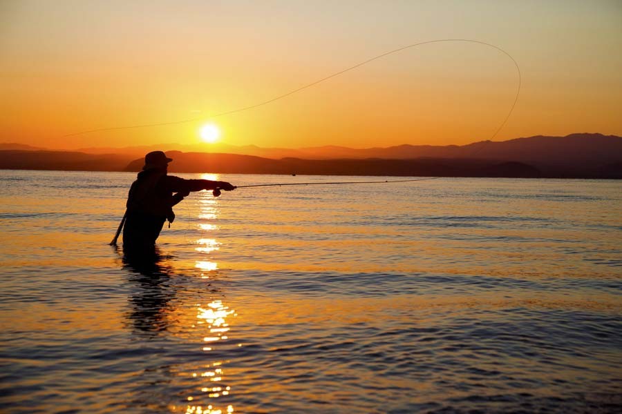 Fishing & hunting in New Zealand
