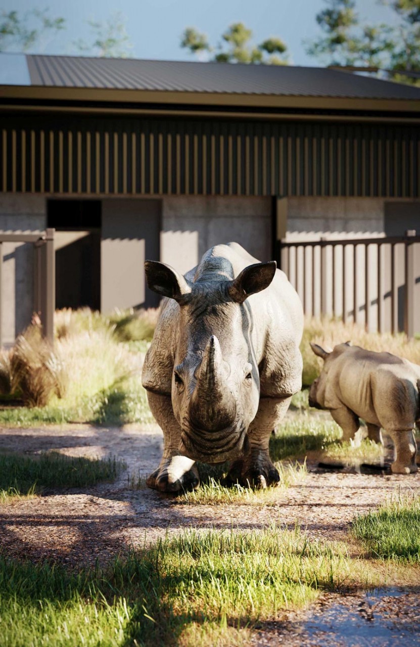 Christchurch wildlife park helping to save the rhinos