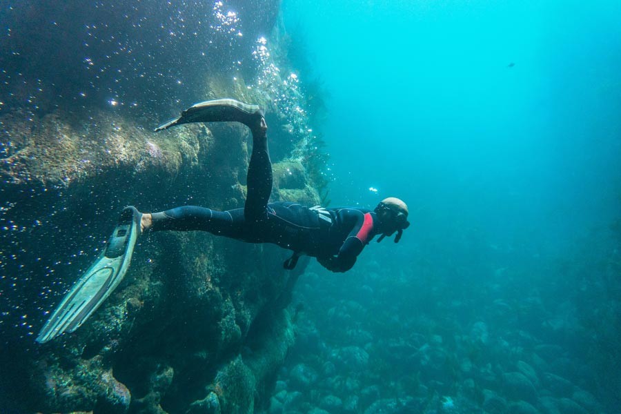 Diving in New Zealand