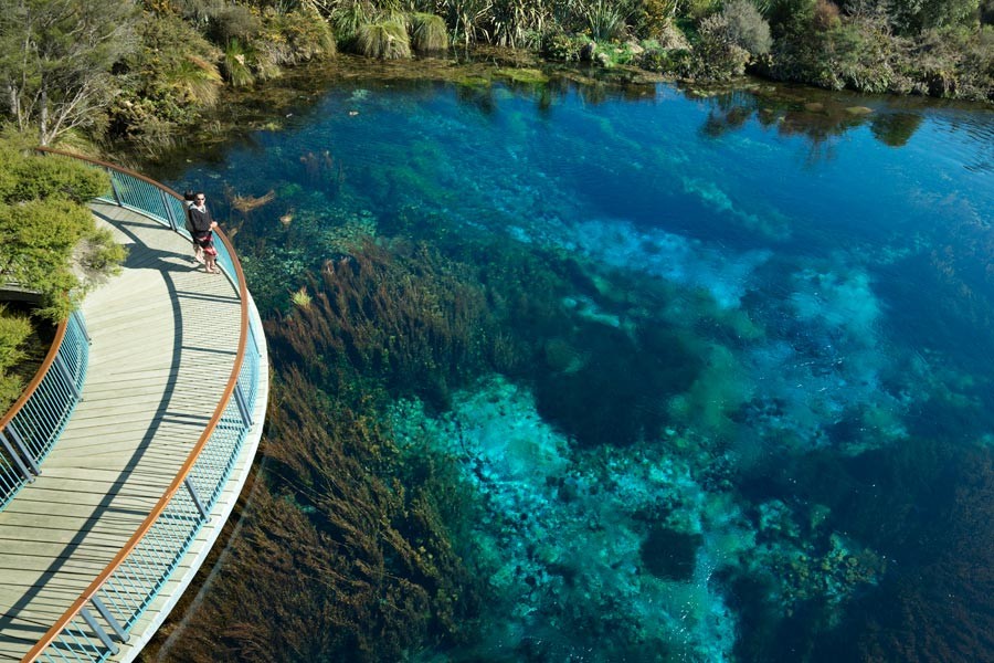 Top 20 things to do in Nelson & Abel Tasman National Park